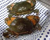 蟹とペンネとトマトソース作り方1写真
