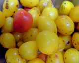 蟹とペンネとトマトソース作り方4写真