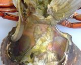 蟹とペンネとトマトソース作り方16写真