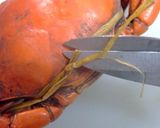 蟹とペンネとトマトソース作り方13写真