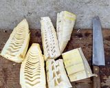 アウトドア式!豪快タケノコの大量下処理法作り方2写真