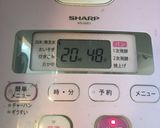 人参ぶっさしハンバーグ作り方8写真