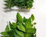 木の芽の冷凍保存作り方1写真
