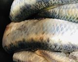 イワシの柔らか煮作り方1写真