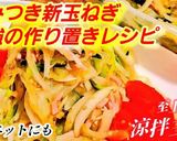 やみつき無限新玉ねぎの中華冷菜！作り置き作り方6写真