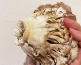 舞茸の炊き込みごはん作り方4写真