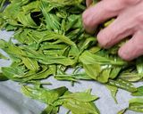 緑茶作り方4写真