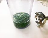 春の香り♪草もち・よもぎ餅作り方4写真