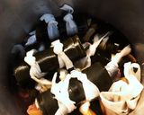 数の子入りニシン丸ごと昆布巻き作り方7写真