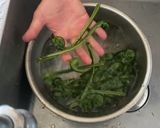 コゴミの下処理（洗い方）作り方3写真