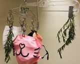 ローズマリーオリーブ油　料理・美肌ケアに作り方2写真