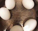 若鶏手羽元のカンタン酢さっぱり煮作り方2写真