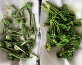 春の山菜: コシアブラとコゴミの天麩羅作り方5写真