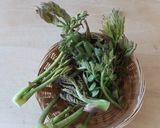タラの芽で作る、タラの芽味噌♡春の味覚作り方1写真