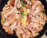 簡単☆豚肉と白菜の春雨煮作り方5写真