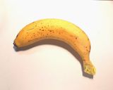 ちょっとはましかもしれないバナナの保存法作り方6写真