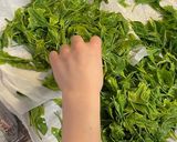 茶摘みのあとは楽しく煎茶作り♪作り方4写真