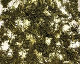 茶摘みのあとは楽しく煎茶作り♪作り方7写真