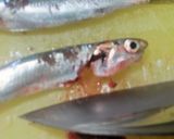 シコ(カタクチイワシ)の磯部揚げ作り方2写真