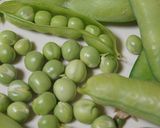 春の味わい　えんどう豆　豆ごはん作り方1写真