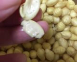 大豆から手作り豆腐 感動の旨さ！作り方3写真