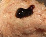 簡単　キャベツしゅうまい作り方3写真
