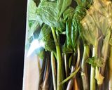 しどけの美味しいおひたし作り方1写真