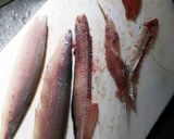 トビウオのフュメソース作り方1写真