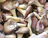 行者にんにくと鶏モツのアヒージョ♪作り方4写真