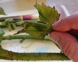 ウドとタケノコのかき揚げ作り方1写真