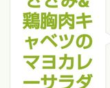 ささみ&鶏胸肉キャベツのマヨカレーサラダ作り方9写真