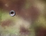 コンビーフキャベツ作り方4写真
