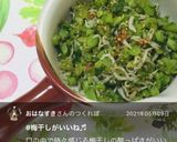 大根の葉活用♪しらすと梅干しの常備菜作り方10写真
