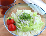 レタスとしらすの柚子胡椒風味そうめん作り方4写真