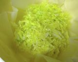 レンジで簡単♪生姜香るキャベツ焼売作り方1写真