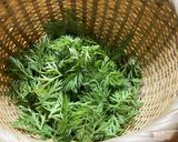 人参の葉っぱとツナのふりかけ作り方2写真