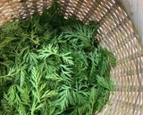 人参の葉っぱのナムル作り方1写真