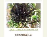 【減塩】玉ねぎとかいわれのサラダ作り方6写真