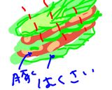 豚肉と白菜の重ね蒸し作り方1写真