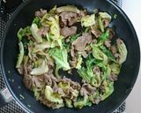 材料2つ☆豚こまキャベツオイスター炒め。作り方6写真