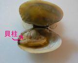 アサリのきれいな外し方作り方1写真