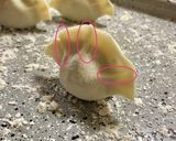 具だくさん手作り水餃子作り方18写真