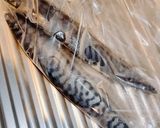 冷凍のさばの味噌煮作り方1写真