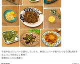 山菜☆コゴミとタラの芽の天麩羅☆作り方25写真