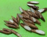 大豆とゴボウの甘塩炒め作り方2写真
