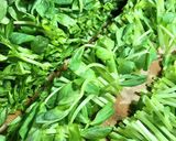 豆苗とカリカリじゃこのサッと炒め作り方1写真