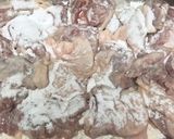 鶏の唐揚げ☆甘辛胡麻ダレがらめ作り方5写真