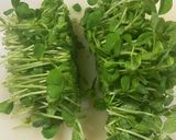 やみつき！豆苗の豚肉巻き作り方1写真