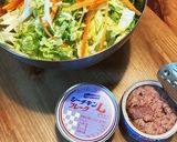 簡単☆白菜とツナのサラダ作り方1写真