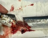 秋刀魚のマルゲリータ風作り方1写真